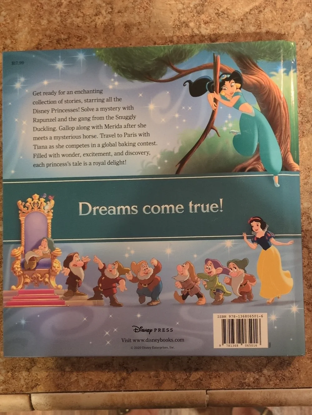 Disney Princess Storybook Collection - Like New